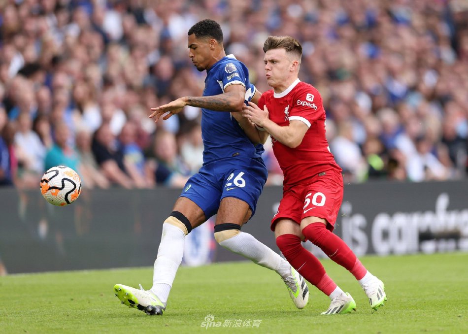 影无处不在 影无处不在